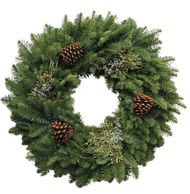 Noble Fir - Wreath 24in